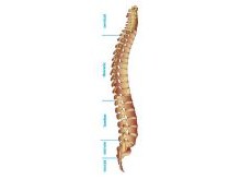 Spinal Injections for Pain